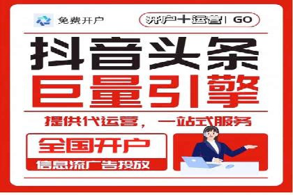 网络营销新篇章：竞价推广案例分析